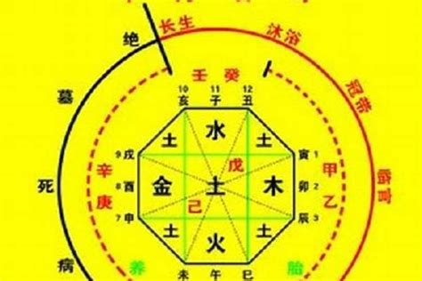 八字十神查詢|生辰八字算命、五行喜用神查詢（免費測算）